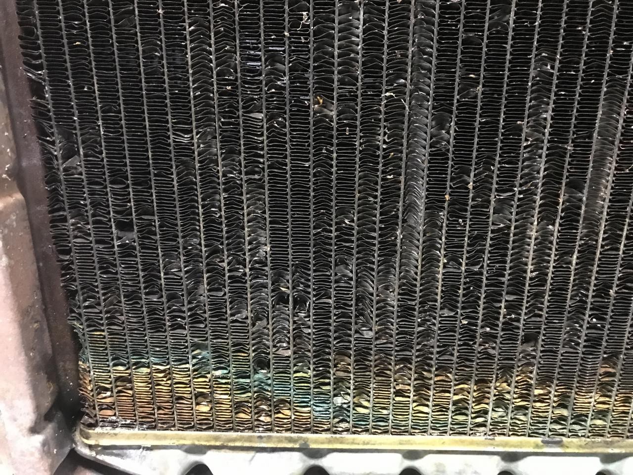 365228 | International 1600 LOADSTAR Radiator for Sale