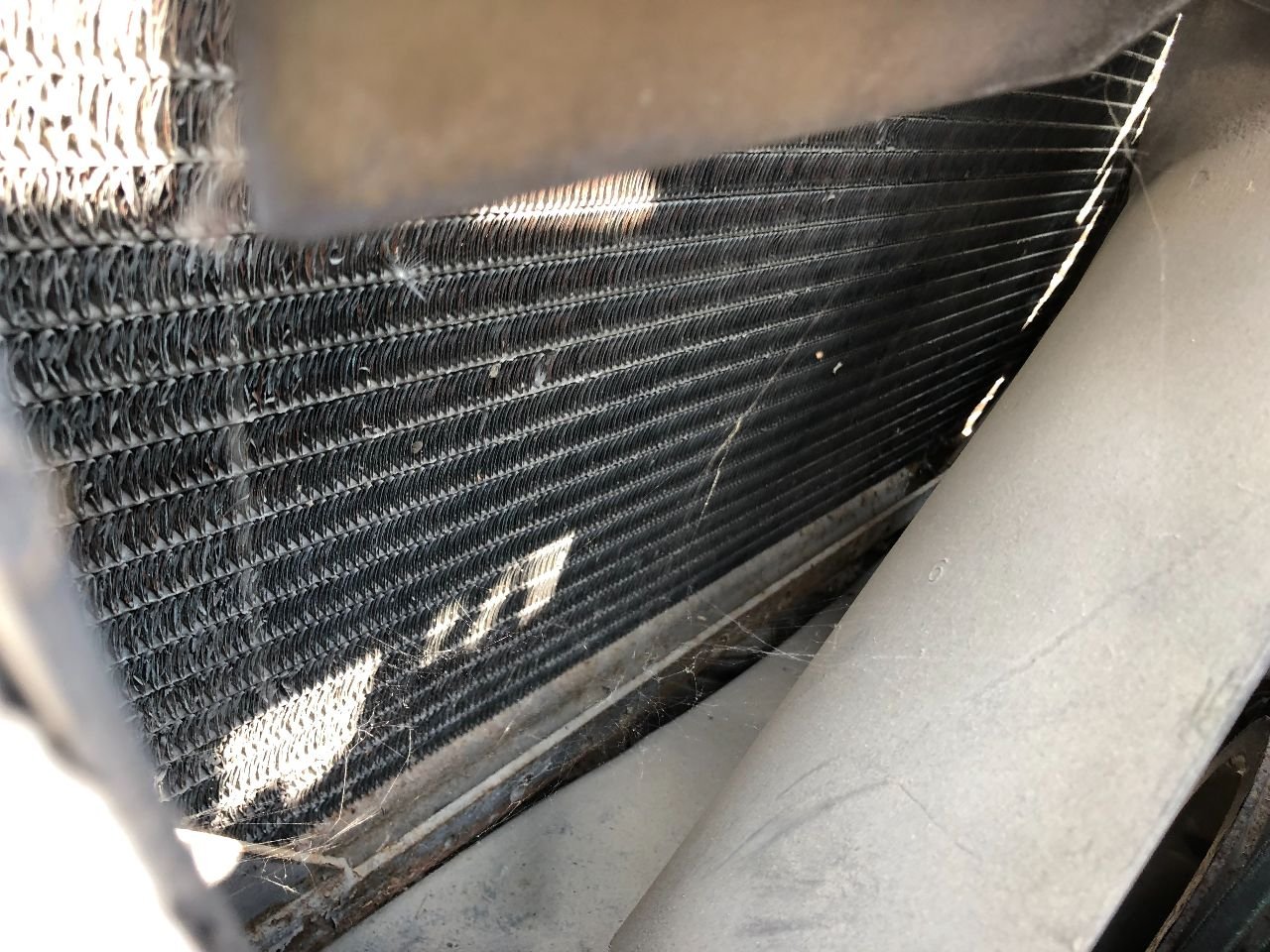 Freightliner CLASSIC XL Radiator for Sale