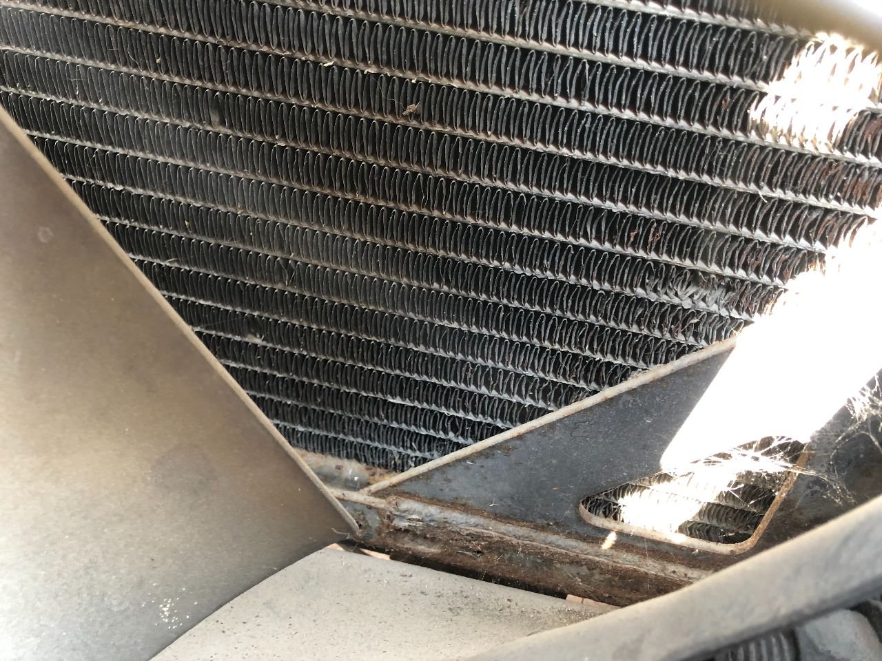 Freightliner CLASSIC XL Radiator for Sale