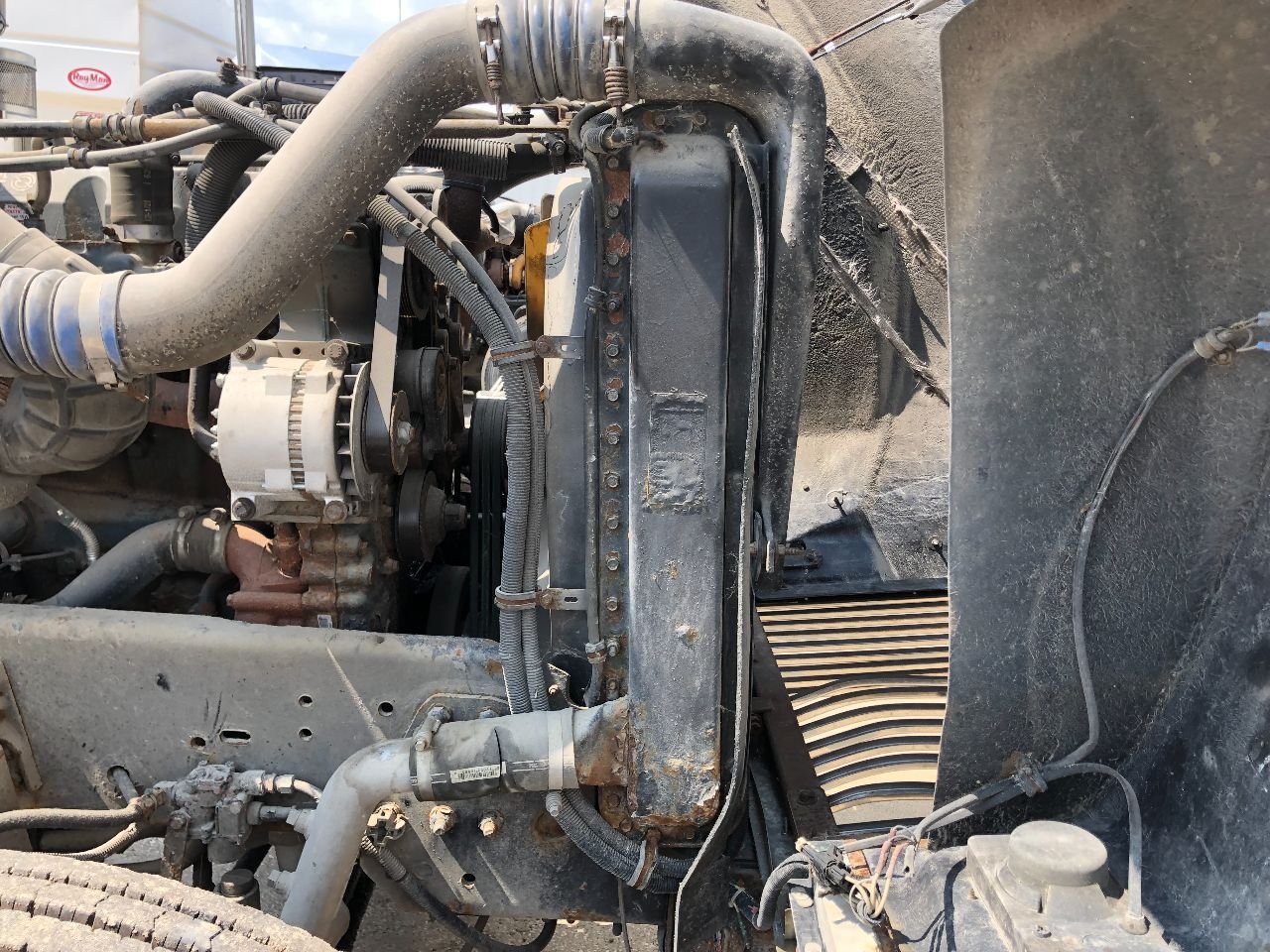 Freightliner CLASSIC XL Radiator for Sale