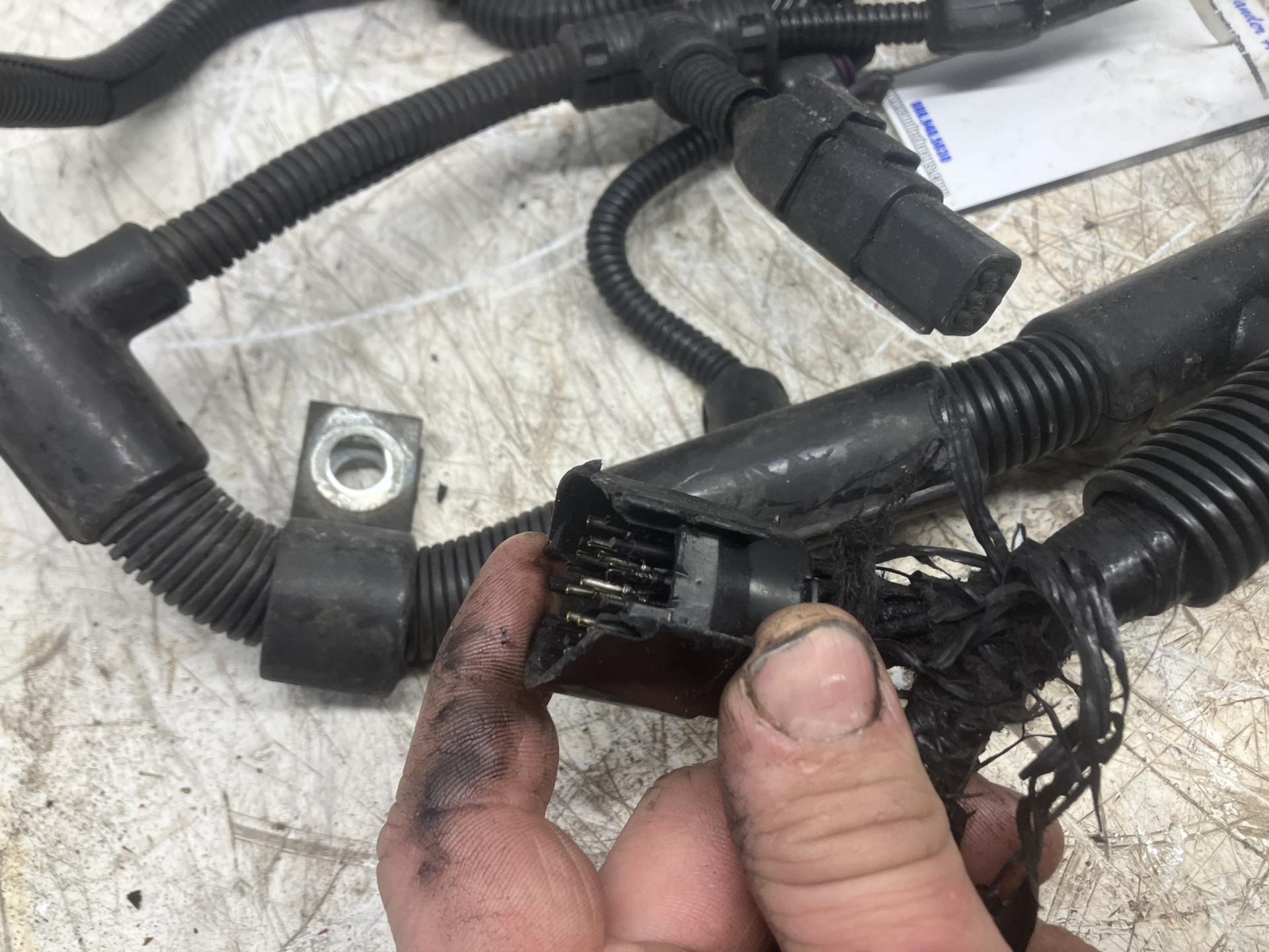 2864488 | Cummins ISM Engine Wiring Harness for Sale