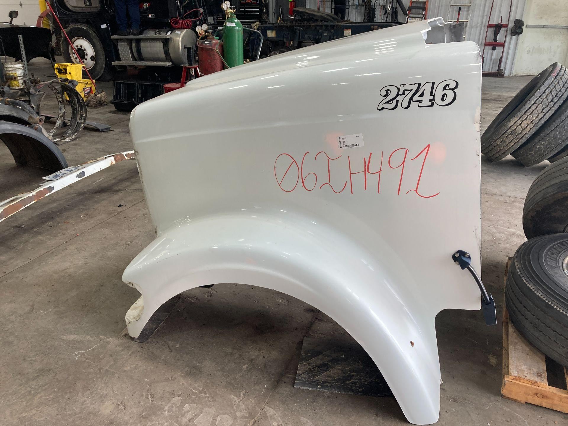 3867439C95 | International 9900 Hood for Sale