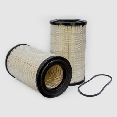 Donaldson P544243 Filter, Air