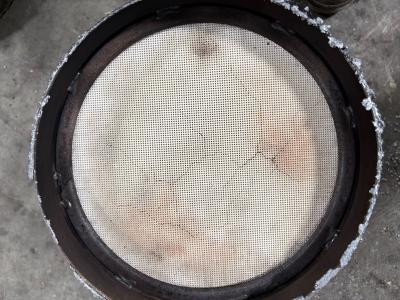 Detroit DD13 Exhaust DPF Filter - Core
