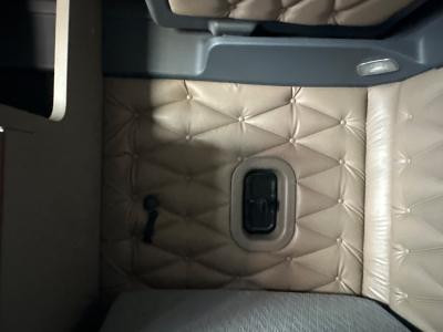 Freightliner CASCADIA Vinyl Right/Passenger Sleeper Passenger Side Wall Trim/Panel