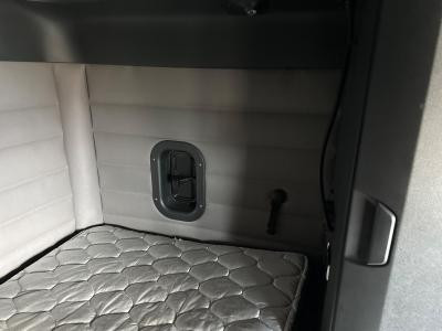 Freightliner CASCADIA Vinyl Left/Driver Sleeper Driver Side Wall Trim/Panel