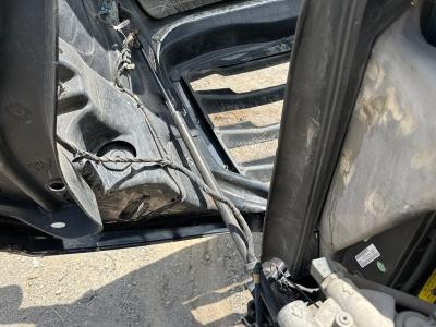 Freightliner CASCADIA Left/Driver Hood Shock - Used