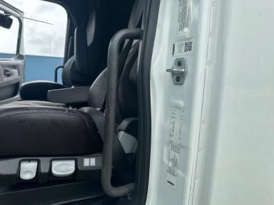 Freightliner CASCADIA 19(in) Grab Handle, Cab Entry (Rear) - Used