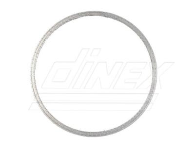 Dinex 65831 Gasket, DPF - New