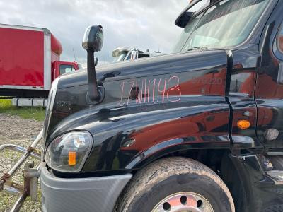 2008-2020 Freightliner CASCADIA Black Hood - Used