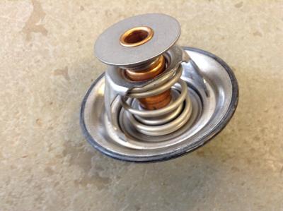 5273379 | Cummins ISC Engine Thermostat for Sale