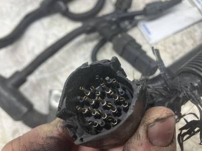 2864488 | Cummins ISM Engine Wiring Harness for Sale
