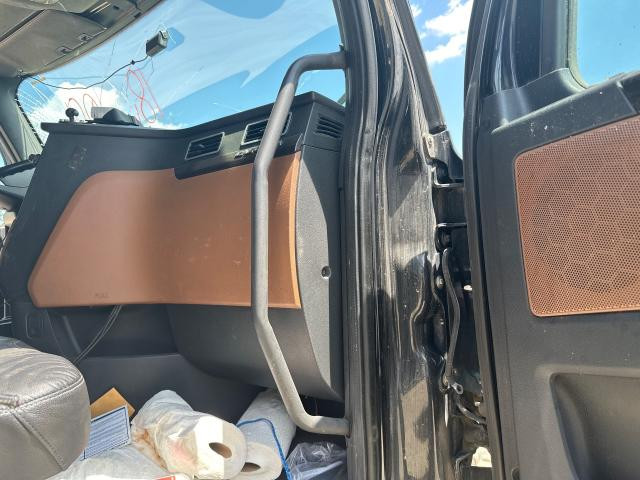 2018 Freightliner CASCADIA 28-inch Grab Handle