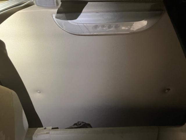 2020 Freightliner CASCADIA Headliner