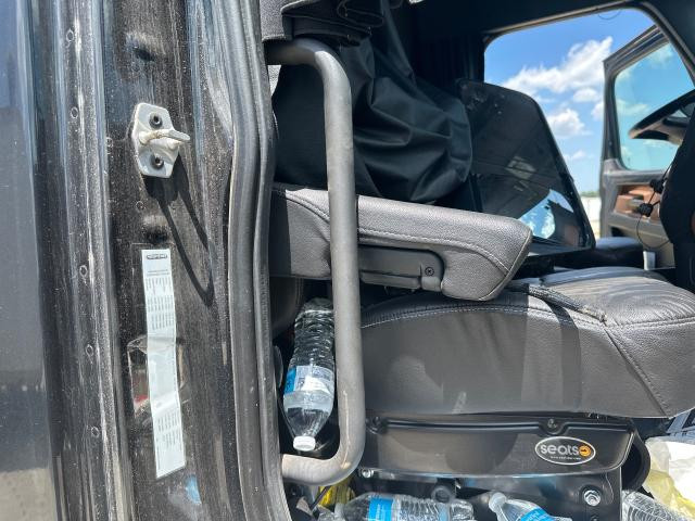 2018 Freightliner CASCADIA 19-inch Grab Handle