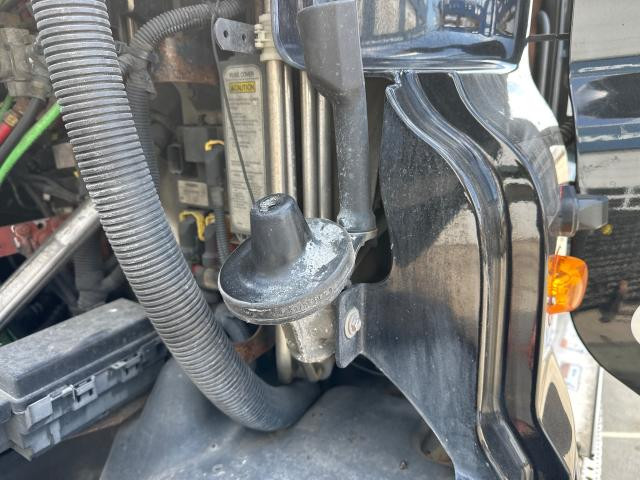 2017 Freightliner CASCADIA Left Hood Rest