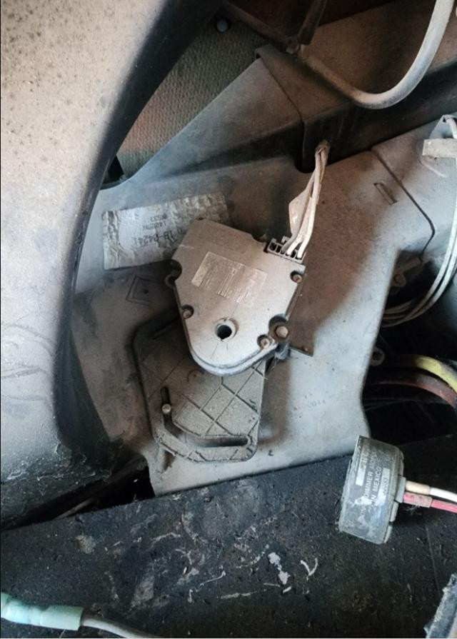 Peterbilt 378 Door, Module for Sale